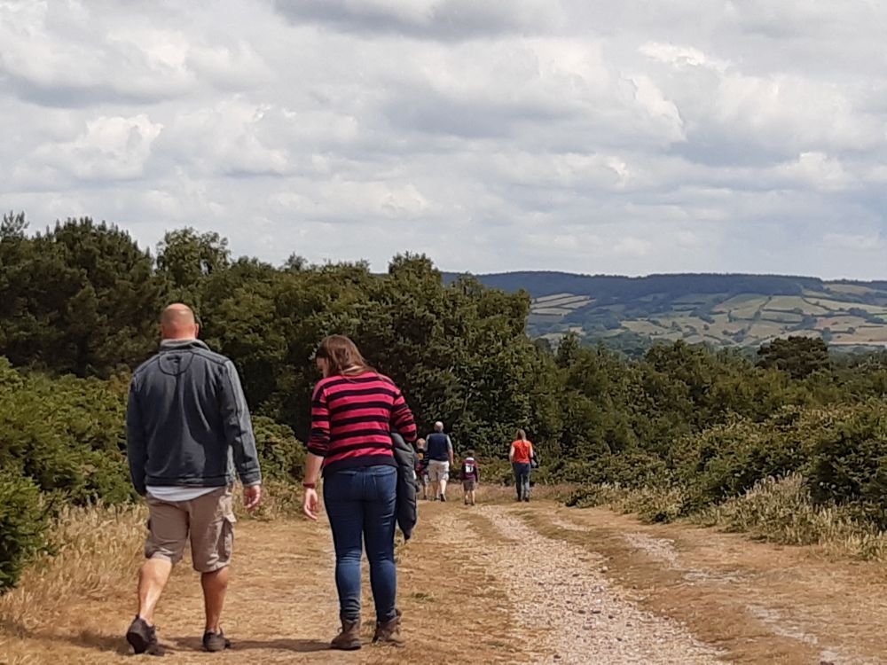 Dog walking on Woodbury Common