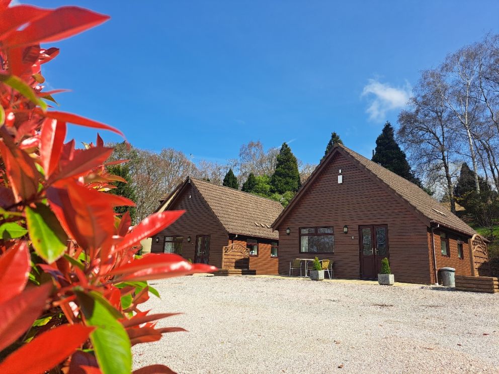 Spring  short breaks at Alpine Park Cottages