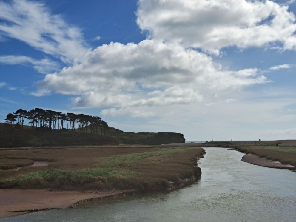 Lower Otter Restoration Project