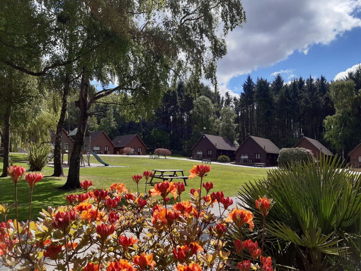Holiday Cottages Family Friendly lodge Style near Exeter Devon