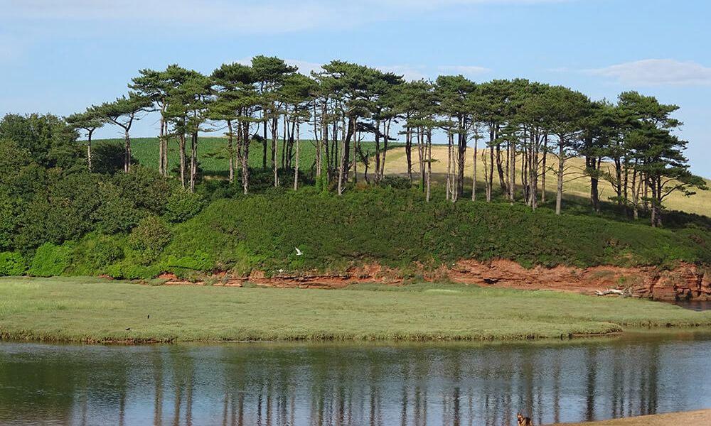 Budleigh Salterton 