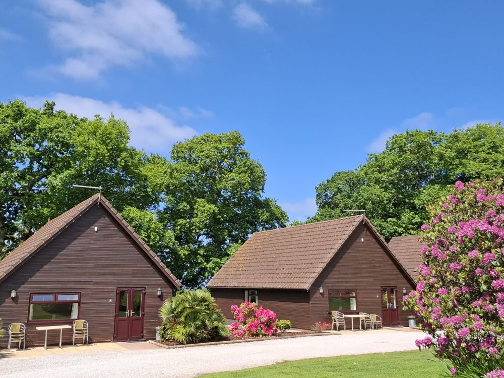 WiFi across the Park