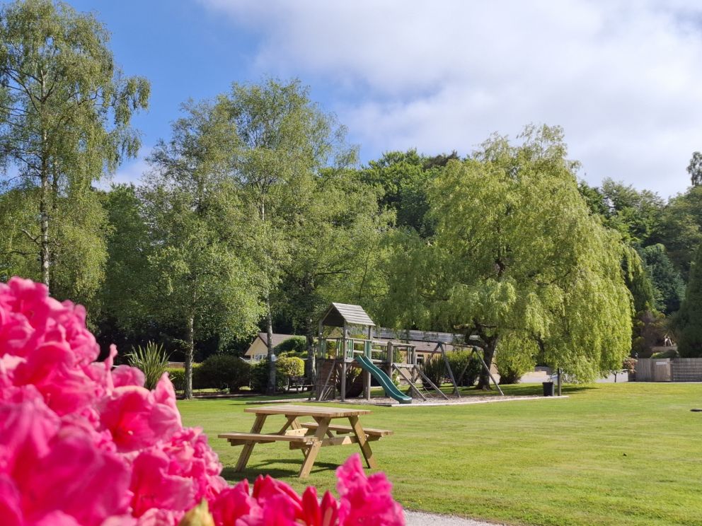 Value family holidays in Devon