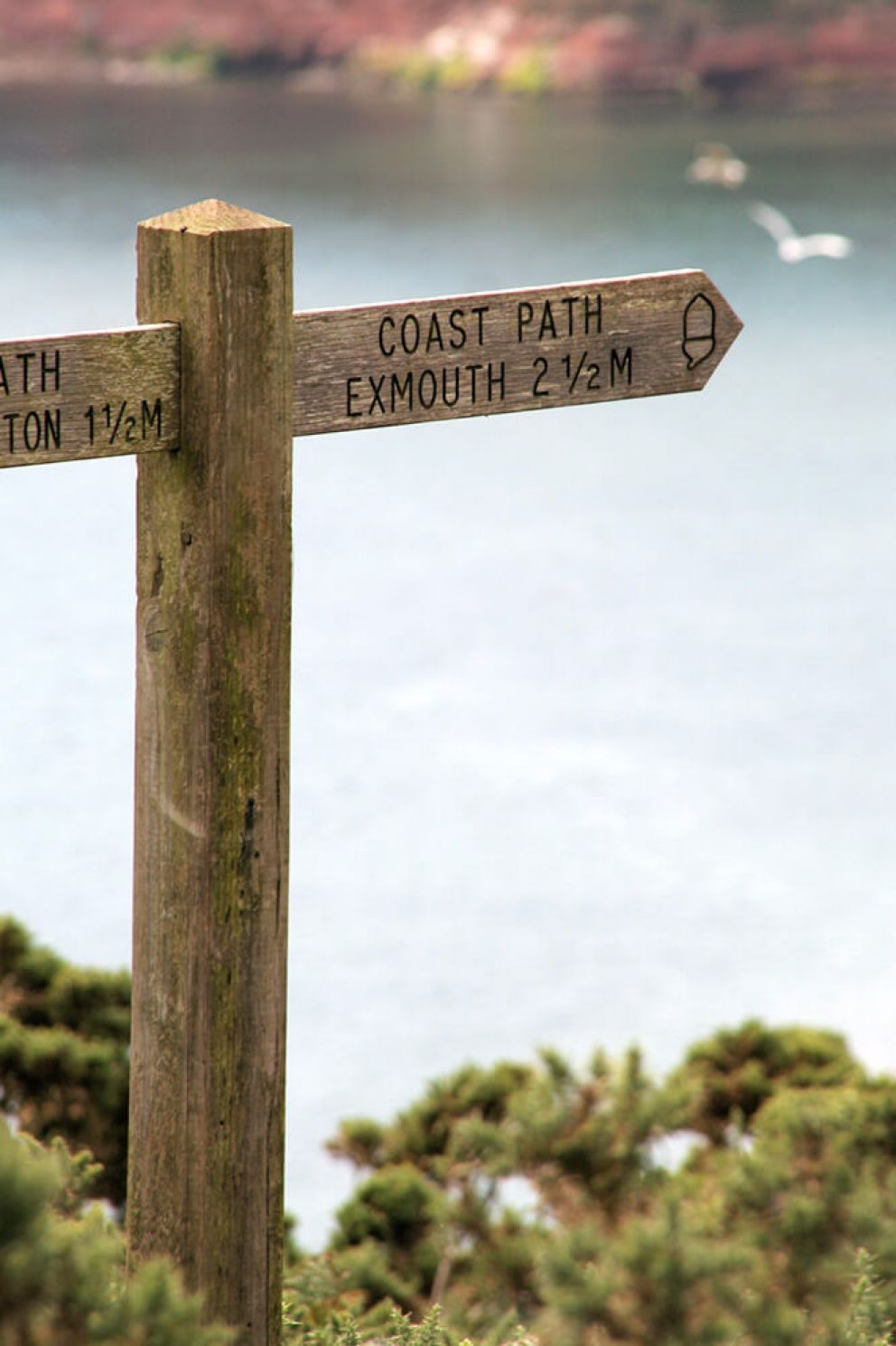 South West Coast Path East Devon