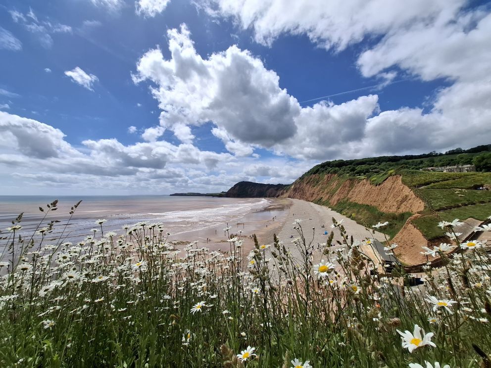 Springtime in Sidmouth