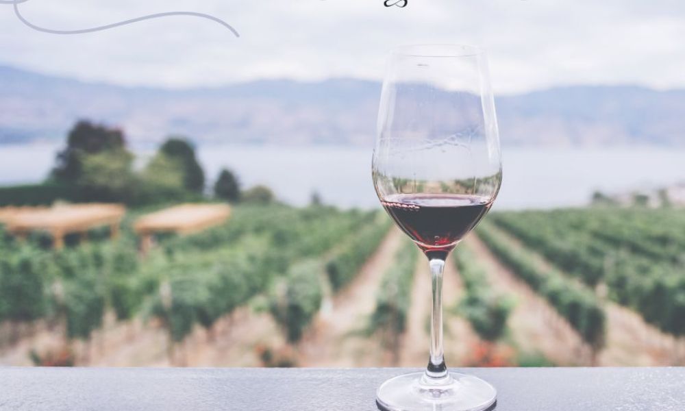 Vineyards Tours near Alpine Park Cottages, East Devon