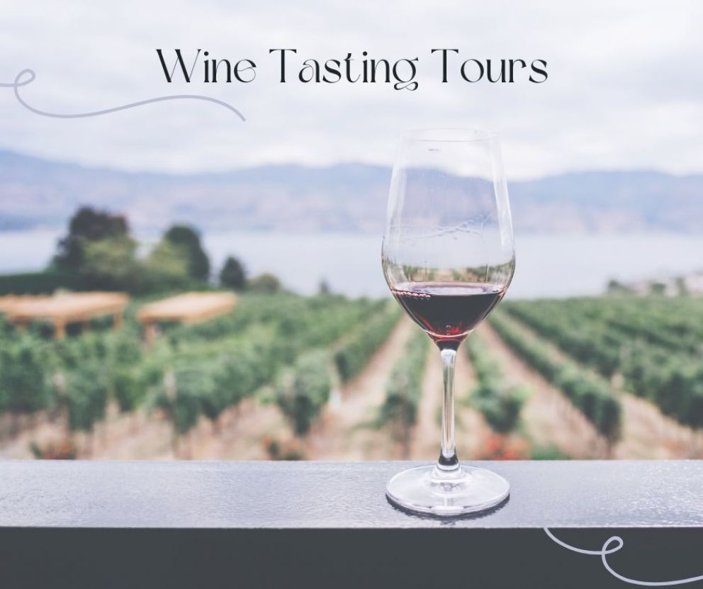 Vineyards Tours near Alpine Park Cottages, East Devon