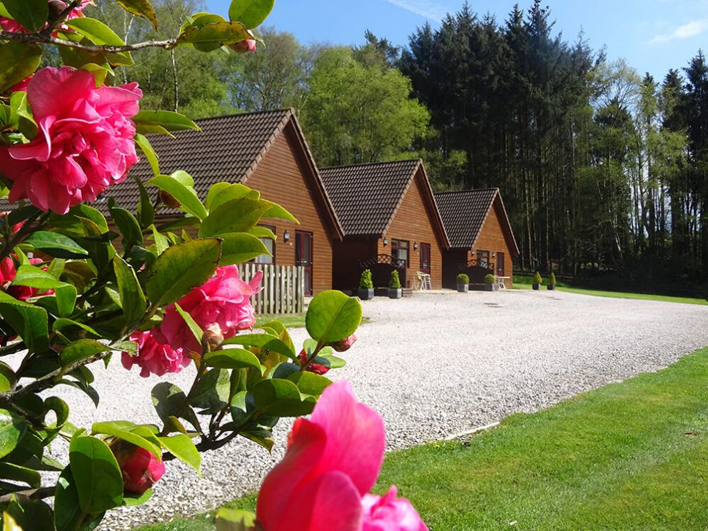 Premier 4 person cottage