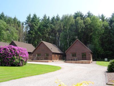 Premier 6 person Cottage