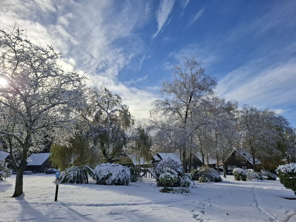 Alpine Park Cottages in the Snow.  Cottages available for Christmas in Devon