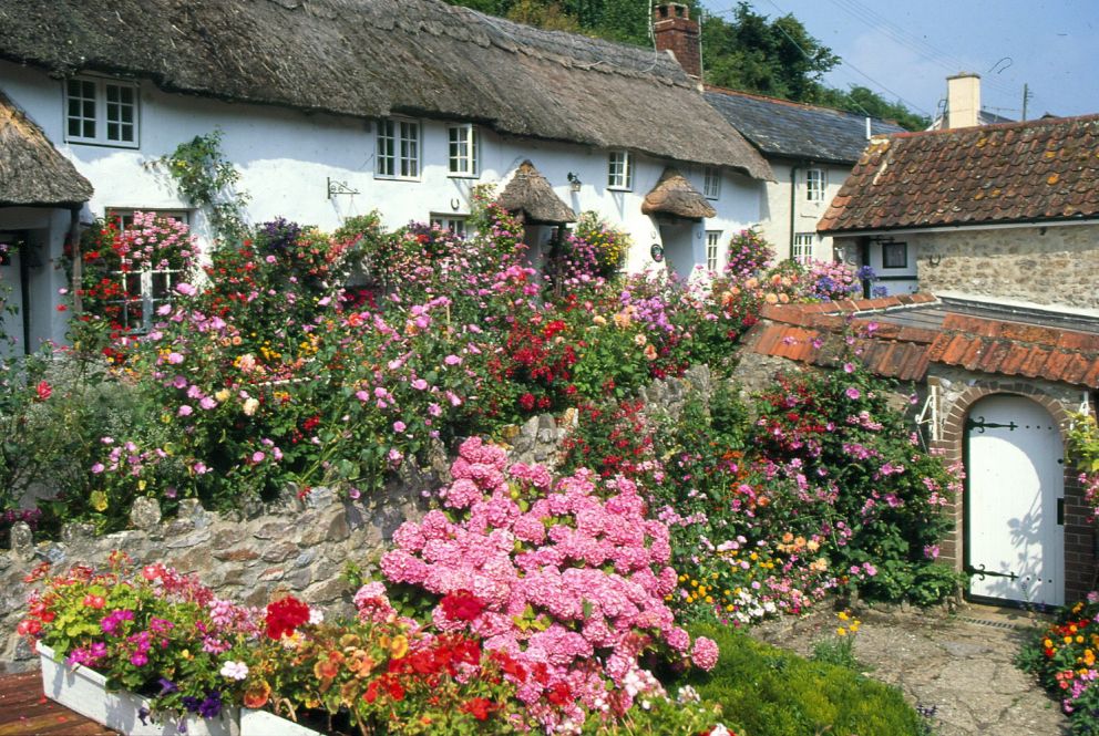 Branscombe, East Devon