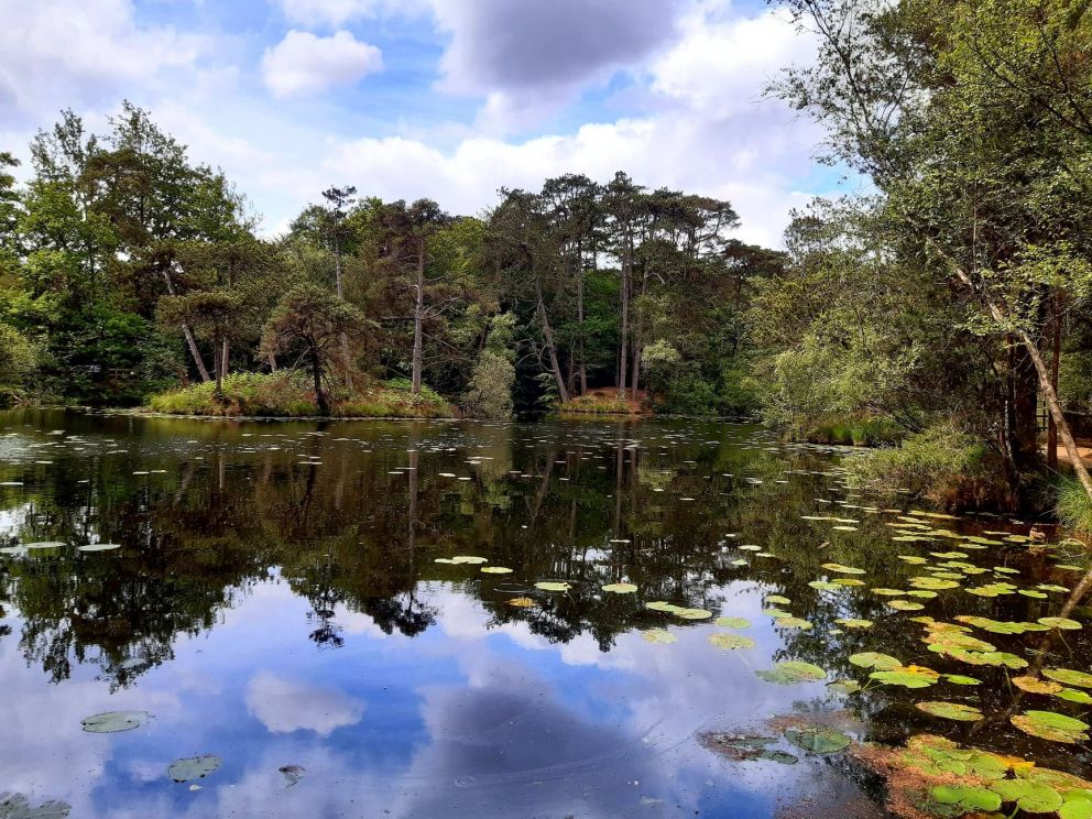 Bystock Pools Exmouth near Alpine Park Cottages