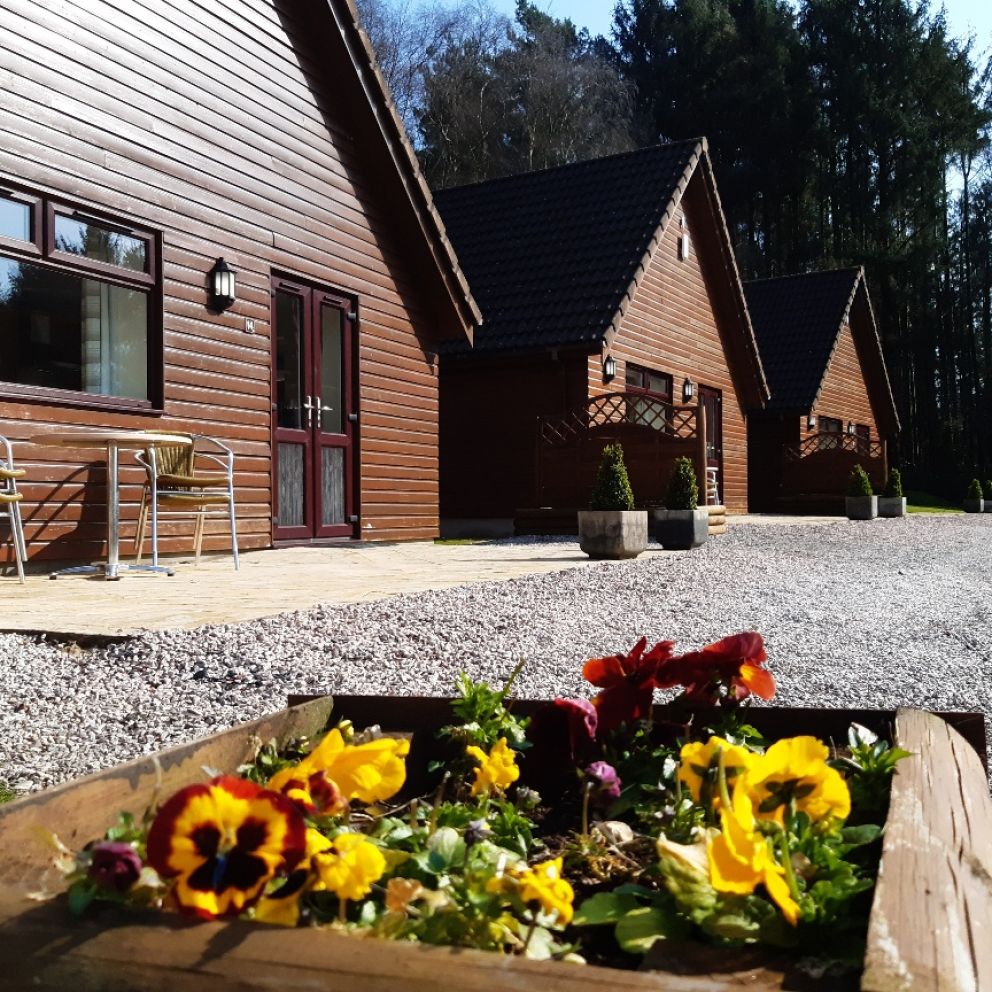 Spring 2022 @ Alpine Park Cottages