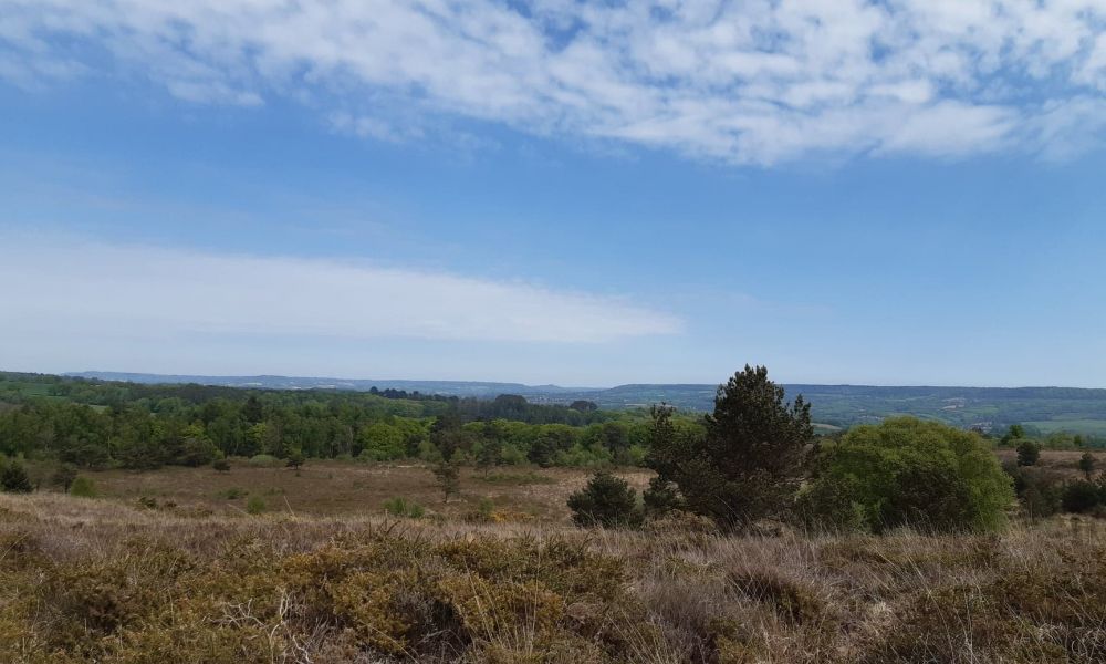 Aylesbeare Common near Alpine Park Cottages