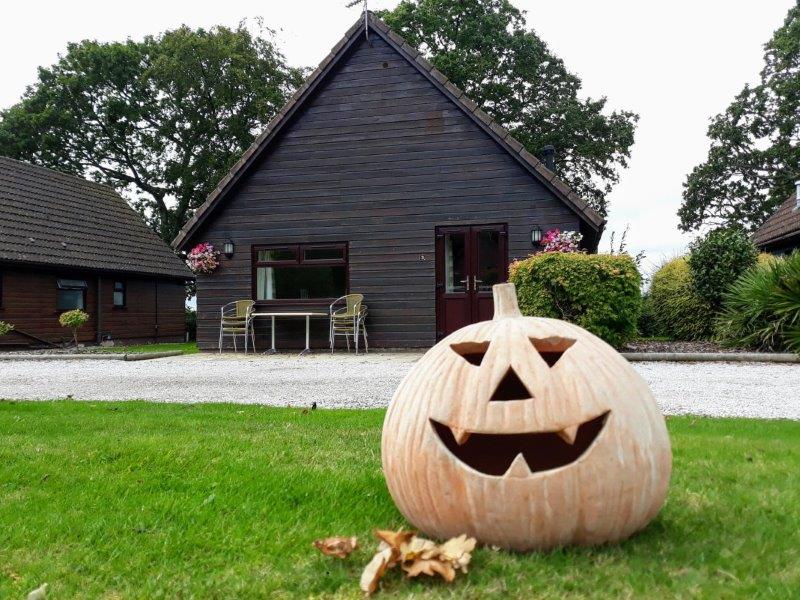 October Half Term Holidays in Devon. Close to Sidmouth & Exmouth