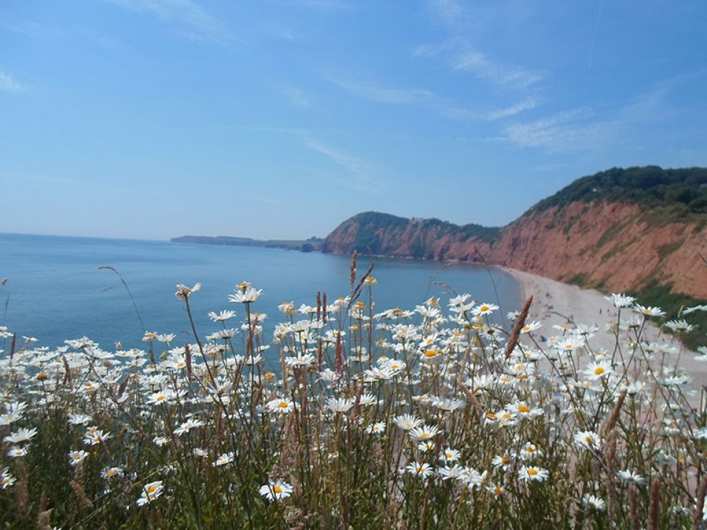 Sidmouth