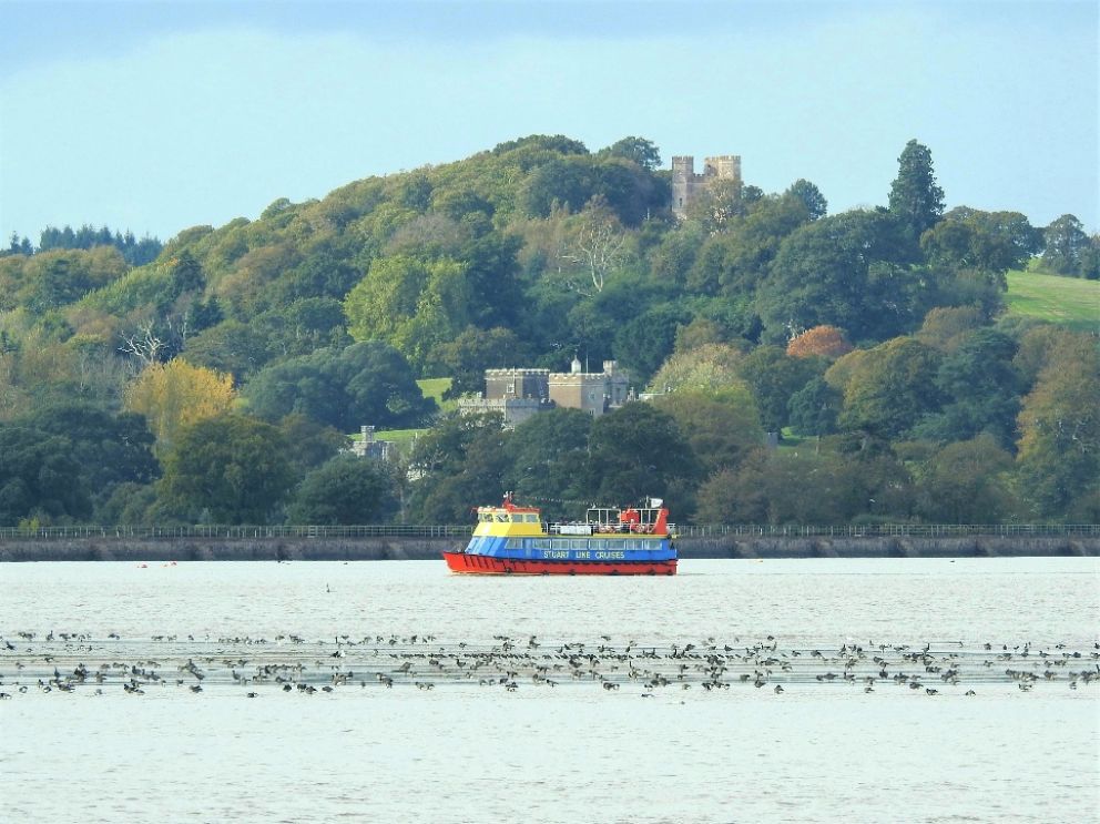 Stuart Line Cruise Guided Bird Watching Cruises 
