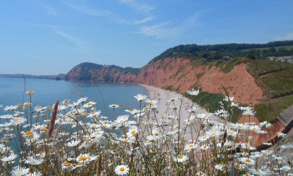View from Jacobs Ladder Sidmouth East Devon