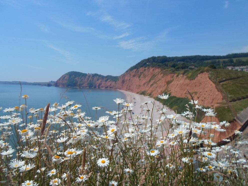 View from Jacobs Ladder Sidmouth East Devon
