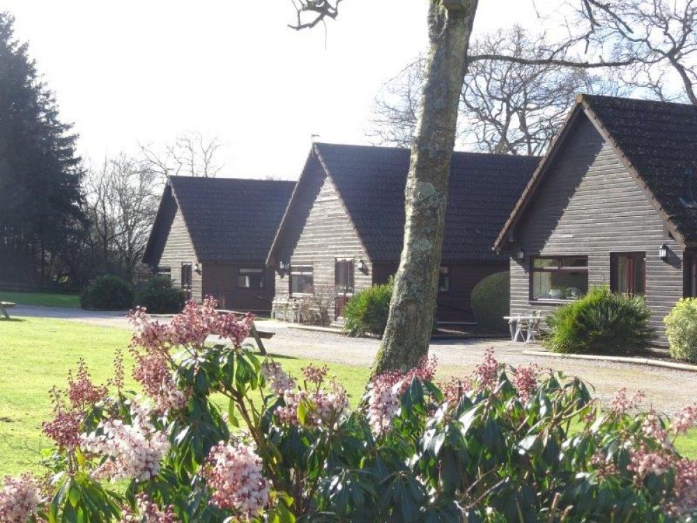 Easter Holiday's in East Devon