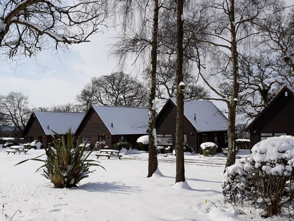 Snow at Alpine Park Cottages